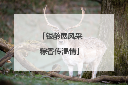 银龄展风采 粽香传温情
